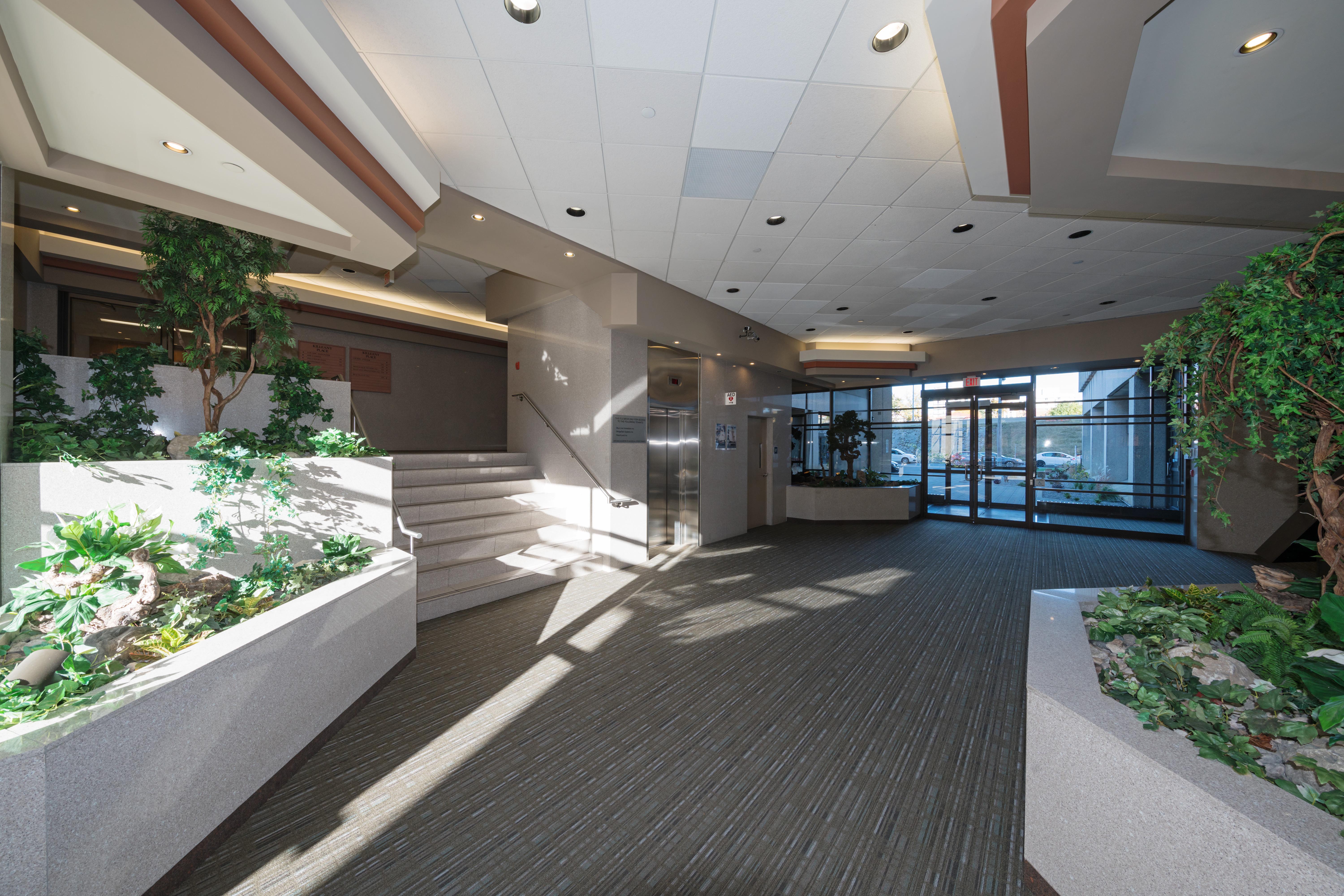 Modern office lobby with natural light, indoor plants, a staircase, and an elevator. The area appears clean and well-maintained with no people visible.