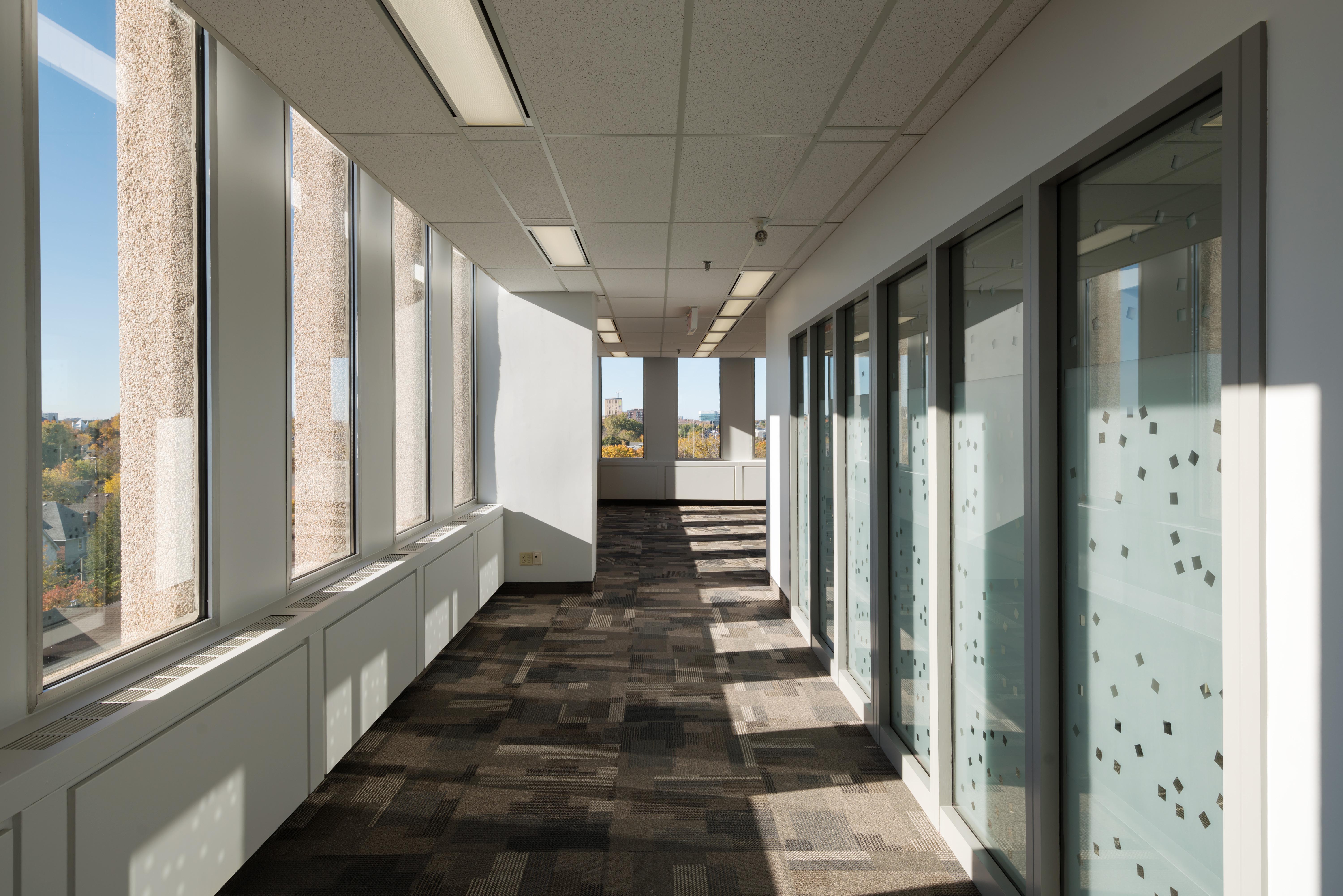 Sunlit office corridor with patterned carpet, glass-walled offices on one side, large windows on the other, and a bright, clear sky outside.